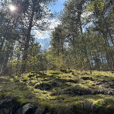 Vikendica Borjak Дом отдыха *