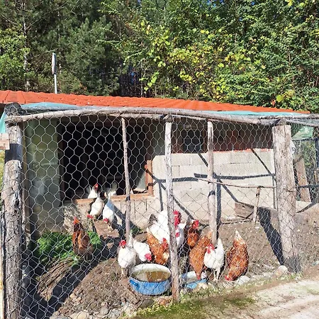 Vikendica Borjak * Кралево