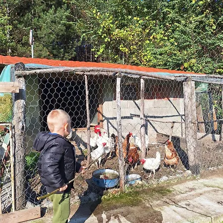 Vikendica Borjak Дом отдыха