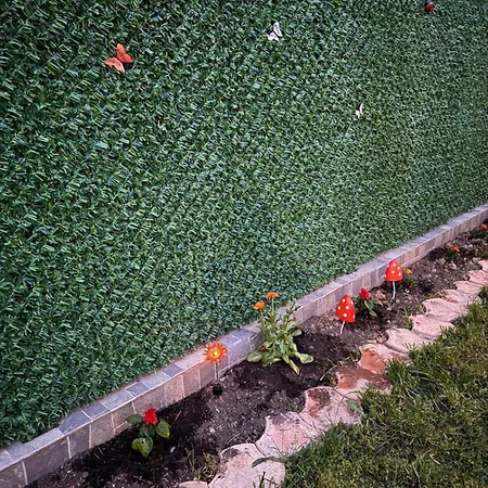 Vikendica Borjak Дом отдыха