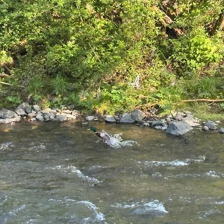 Vikendica Borjak Дом отдыха